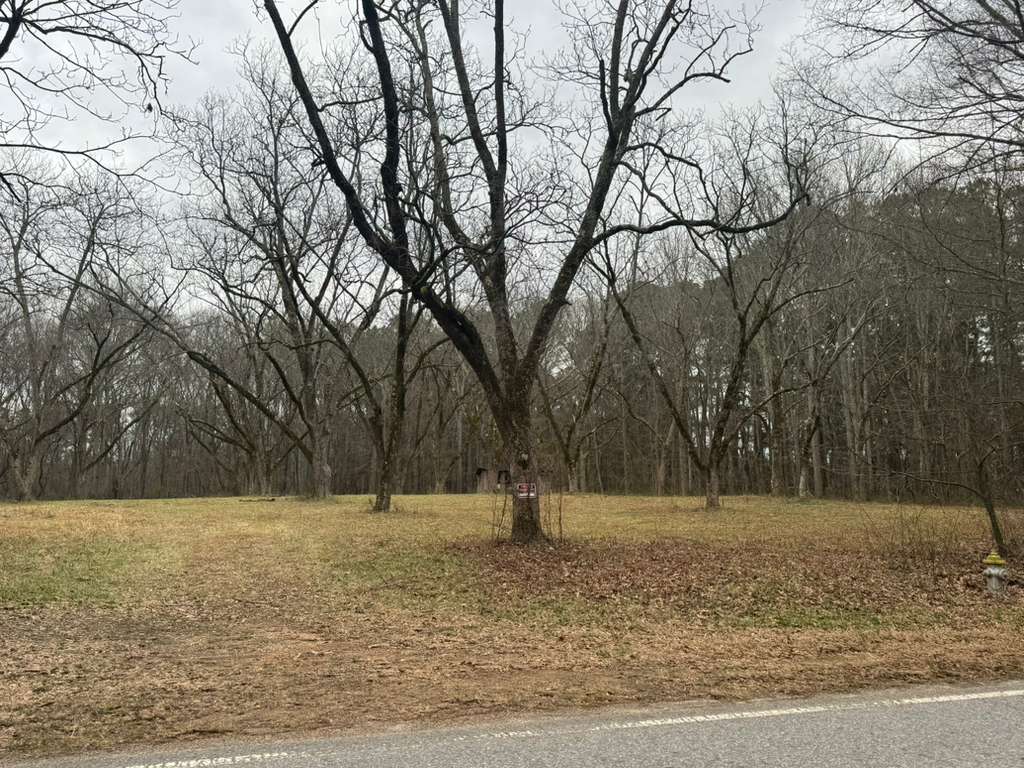 Future church land - Aerial view